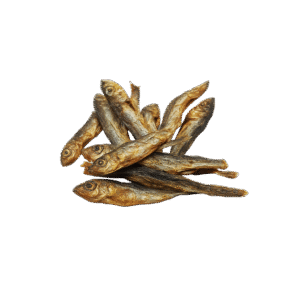 Ansjovis Vis Trainer