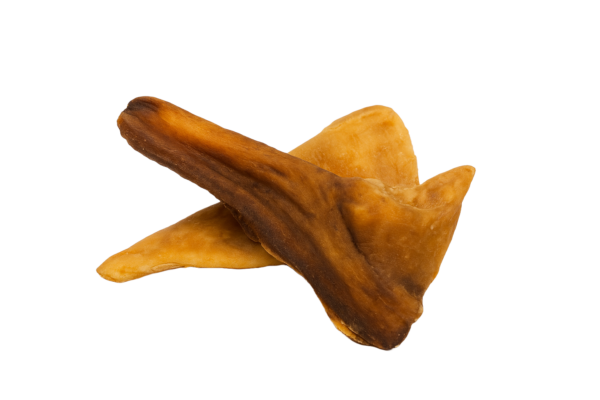 GeitenKopHuidNOBG