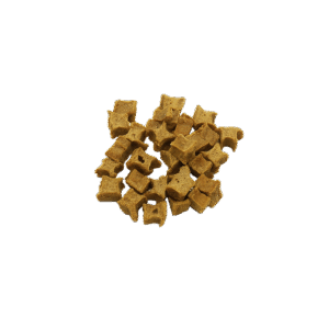 KabeljauwTrainerPerfectNOBG