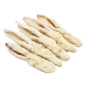 KonijnenOrenMetVachtNOBG