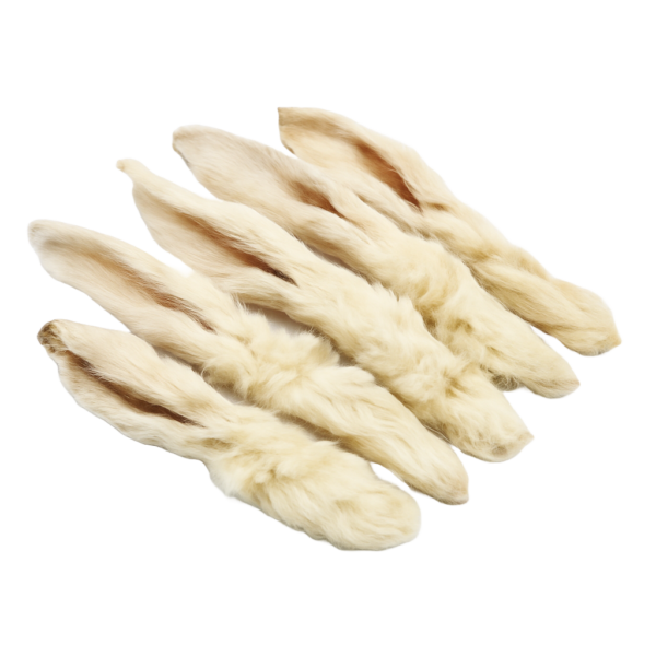 KonijnenOrenMetVachtNOBG