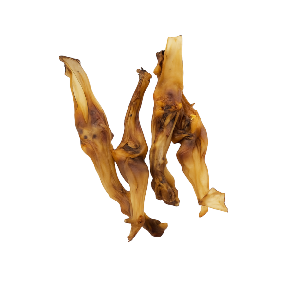KonijnenOrenNatuurlijkNOBG