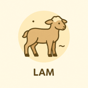 Lam