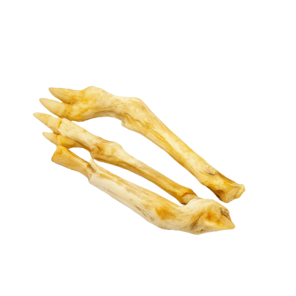 LamsPotenNOBG