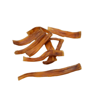 Paarden Achillespees