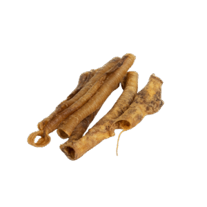 RunderLuchtpijpLangNOBG