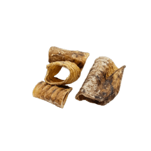 RunderLuchtpijpStukjesNOBG