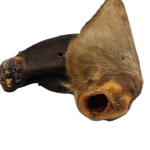 RunderOrenPerfectNOBG