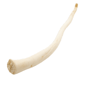 RunderOssenstaartNOBG