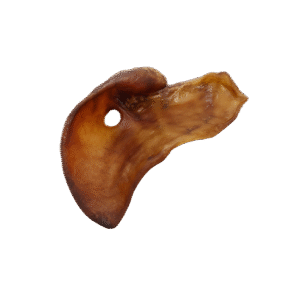 VarkensOrenPerfectNOBG