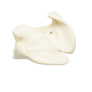 VarkensOrenWitPerfectWitNOBG