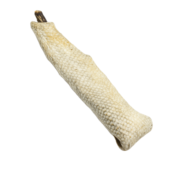 Zalm Huid